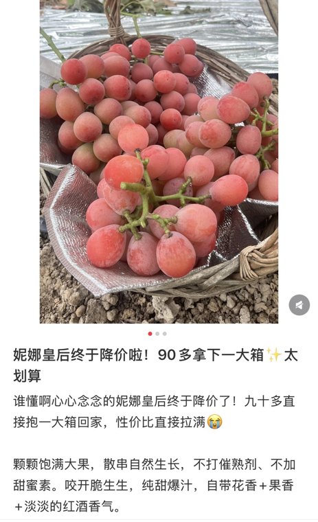 200元一斤的“葡萄界爱马仕”降至15元记者实地探访丨川观探市